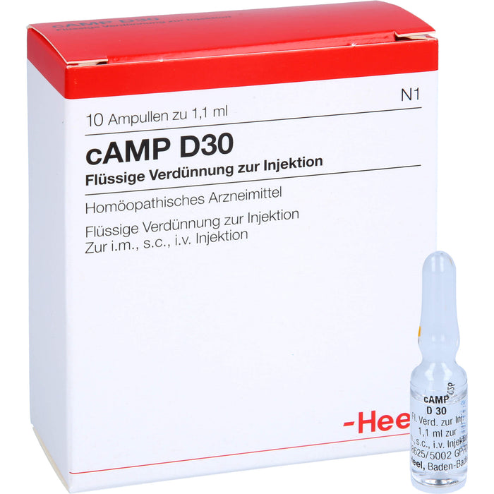 Heel cAMP D30 flüssige Verdünnung, 10 St. Ampullen