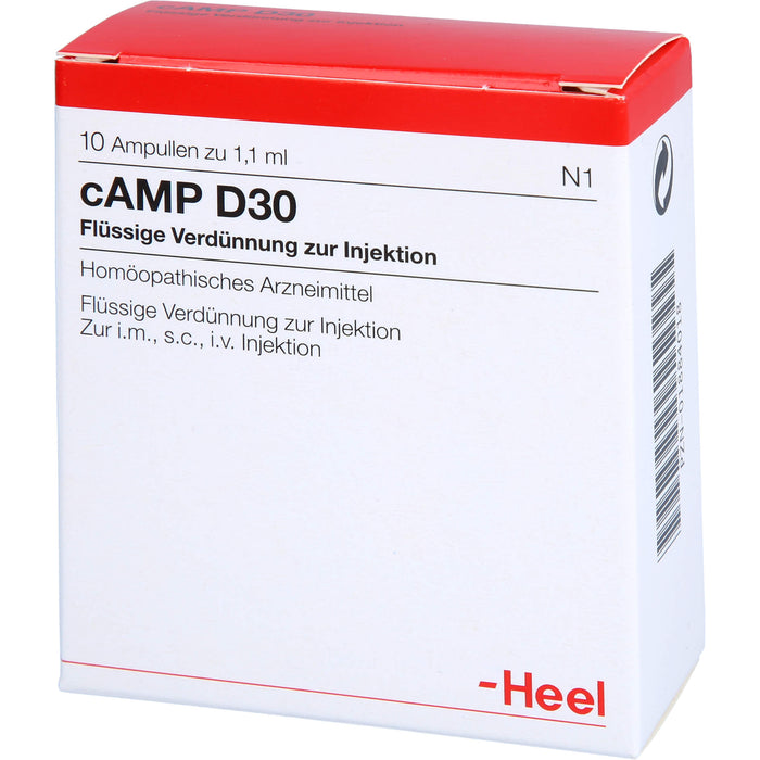 Heel cAMP D30 flüssige Verdünnung, 10 St. Ampullen