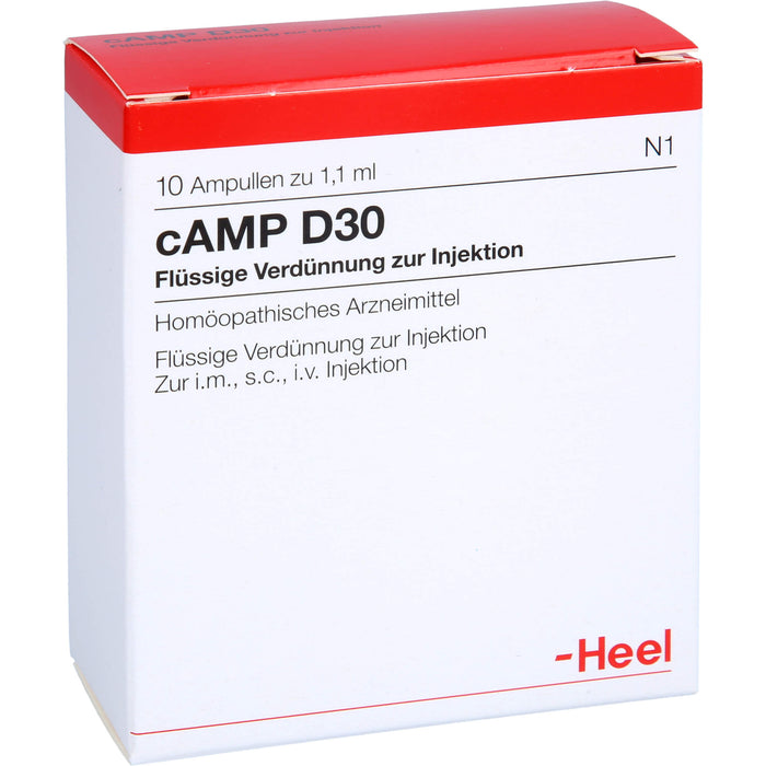 Heel cAMP D30 flüssige Verdünnung, 10 St. Ampullen