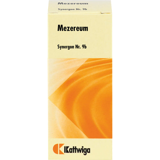 Synergon Komplex 9 b Mezereum Tropfen , 50 ml TRO