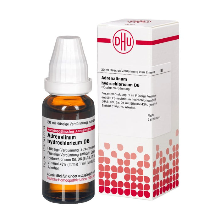Adrenalinum hydrochloricum D6 DHU Dilution, 20 ml Lösung