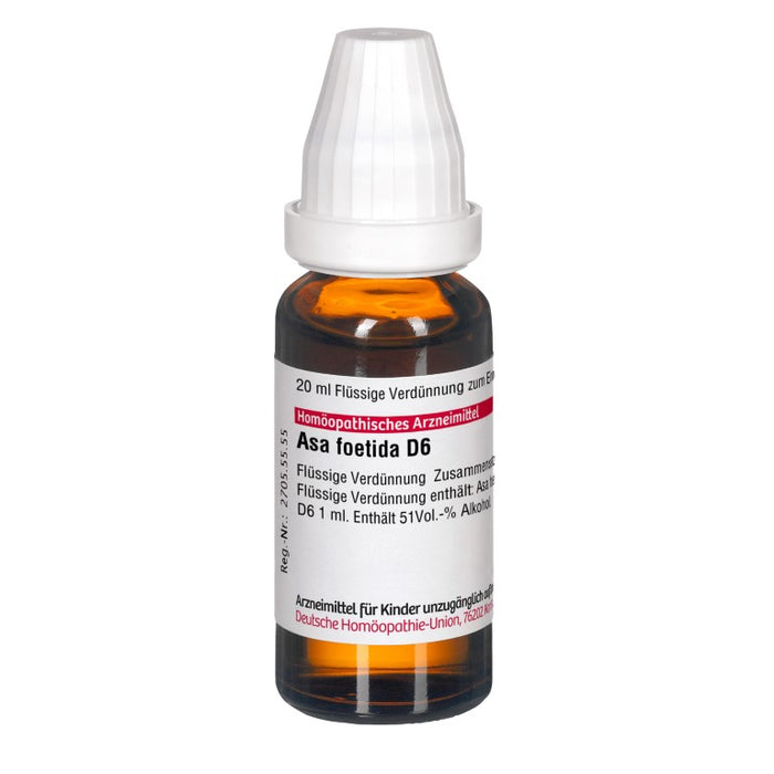 Asa foetida D6 DHU Dilution, 20 ml Lösung