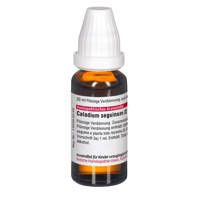 DHU Caladium seguinum D2 Dilution, 20 ml Lösung