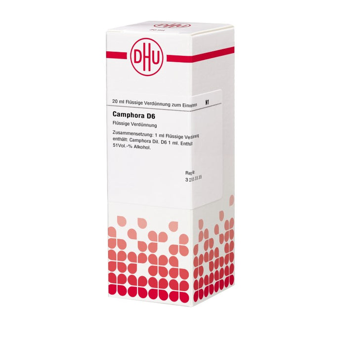 Camphora D6 DHU Dilution, 20 ml Lösung