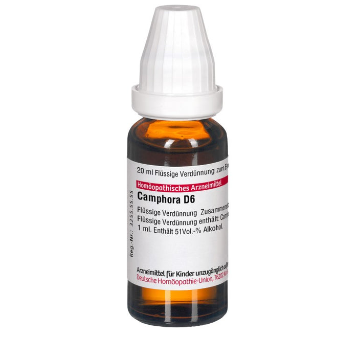 Camphora D6 DHU Dilution, 20 ml Lösung