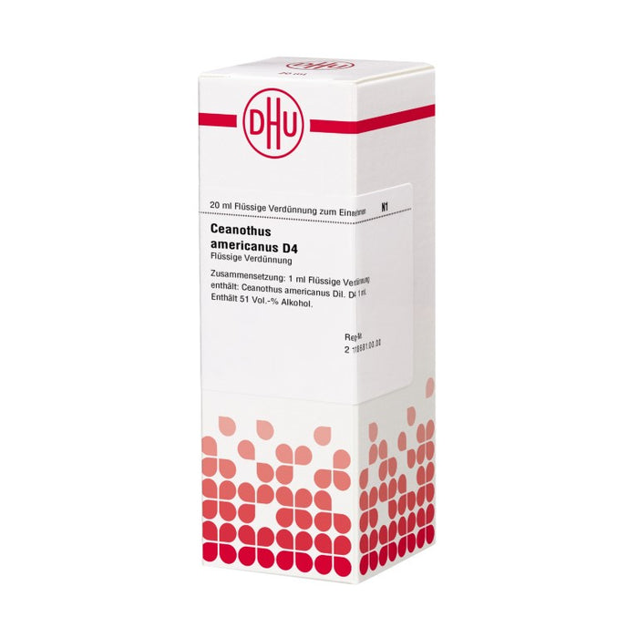 Ceanothus americanus D4 DHU Dilution, 20 ml Lösung