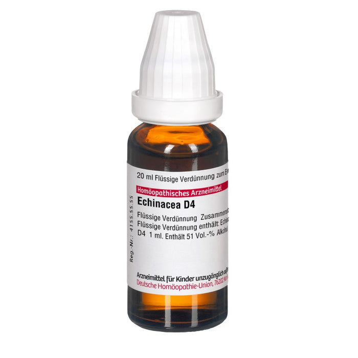 Echinacea HAB D4 DHU Dilution, 20 ml Lösung