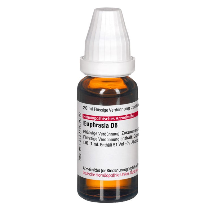 Euphrasia D6 DHU Dilution, 20 ml Lösung