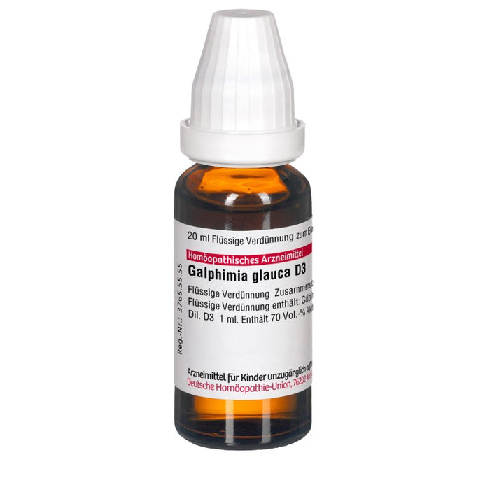 Galphimia glauca D3 DHU Dilution, 20 ml Lösung