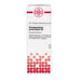 Harpagophytum procumbens D6 DHU Dilution, 20 ml Lösung