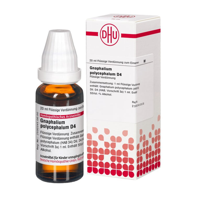 Gnaphalium polycephalum D4 DHU Dilution, 20 ml Lösung