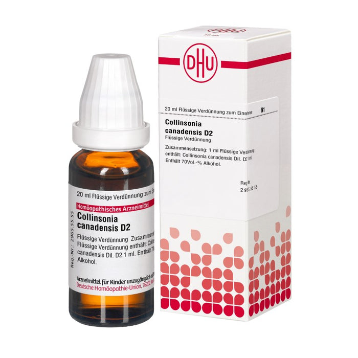Collinsonia canadensis D2 DHU Dilution, 20 ml Lösung