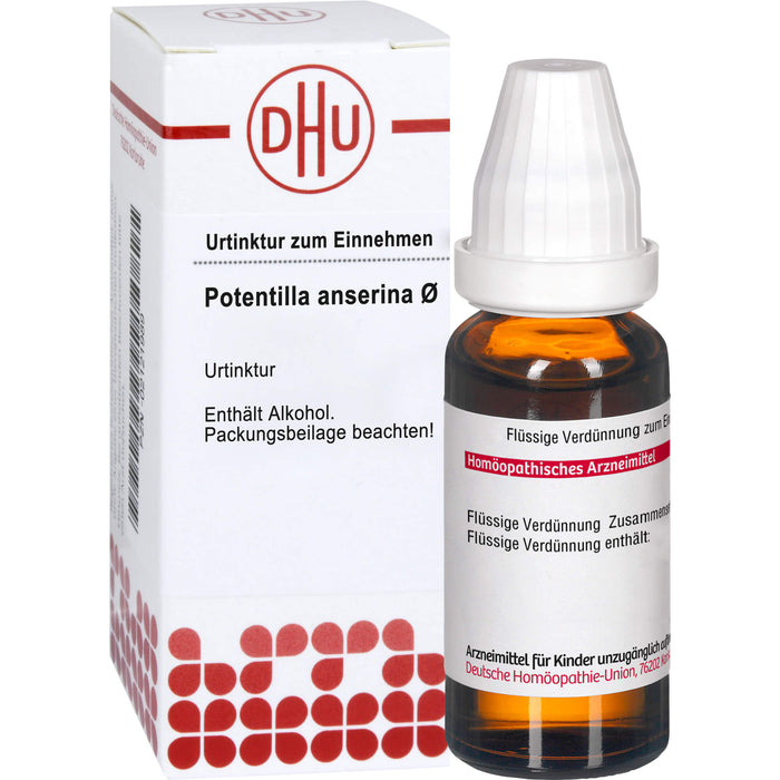 Potentilla anserina DHU Urtinktur, 20 ml Lösung