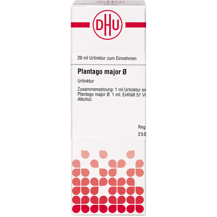 Plantago major DHU Urtinktur, 20 ml Lösung