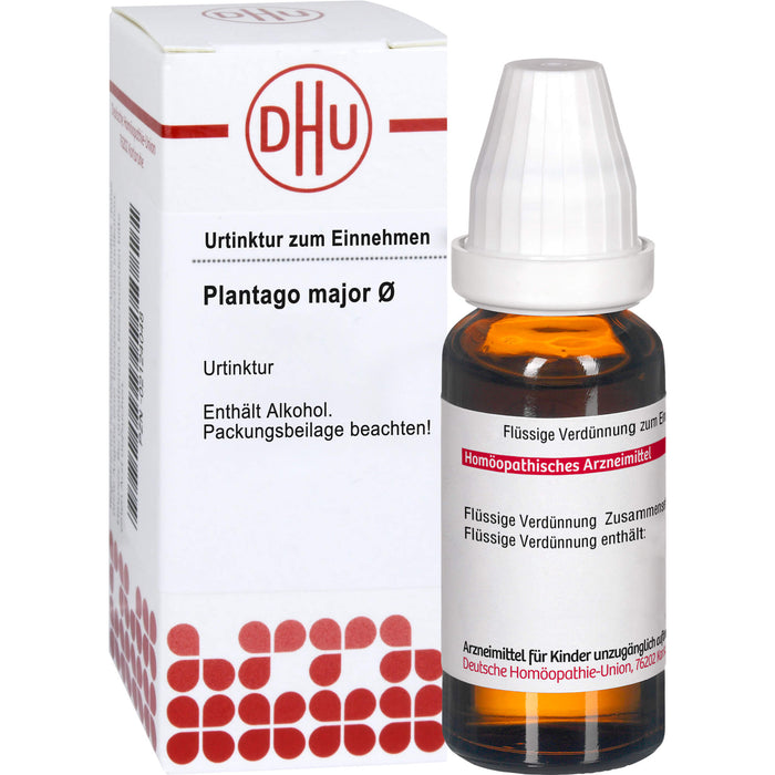 Plantago major DHU Urtinktur, 20 ml Lösung