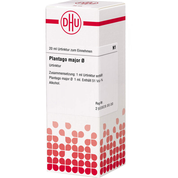 Plantago major DHU Urtinktur, 20 ml Lösung