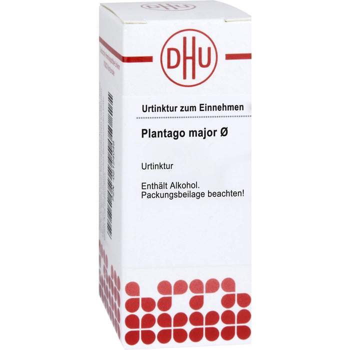 Plantago major DHU Urtinktur, 20 ml Lösung