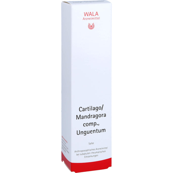 WALA Cartilago / Mandragora comp. Unguentum Salbe, 100 g Salbe