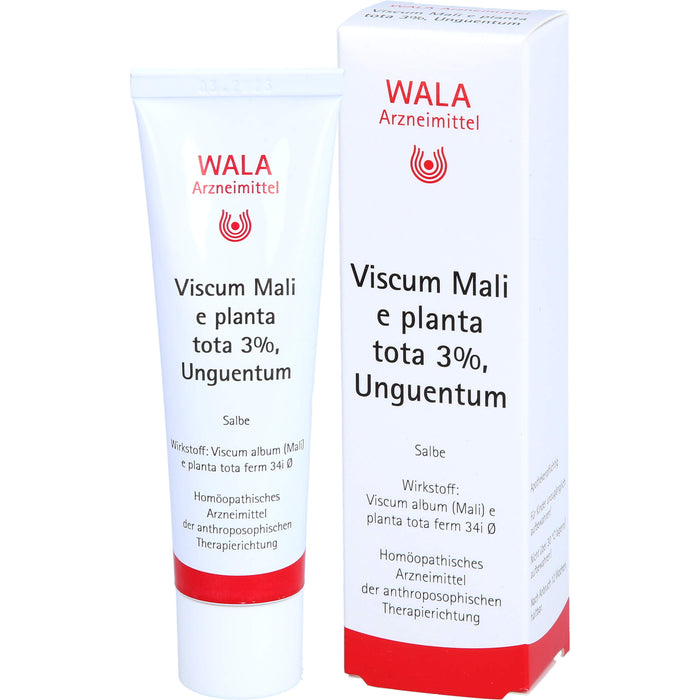 Viscum Mali e planta tota 3% Wala Salbe, 30 g Salbe
