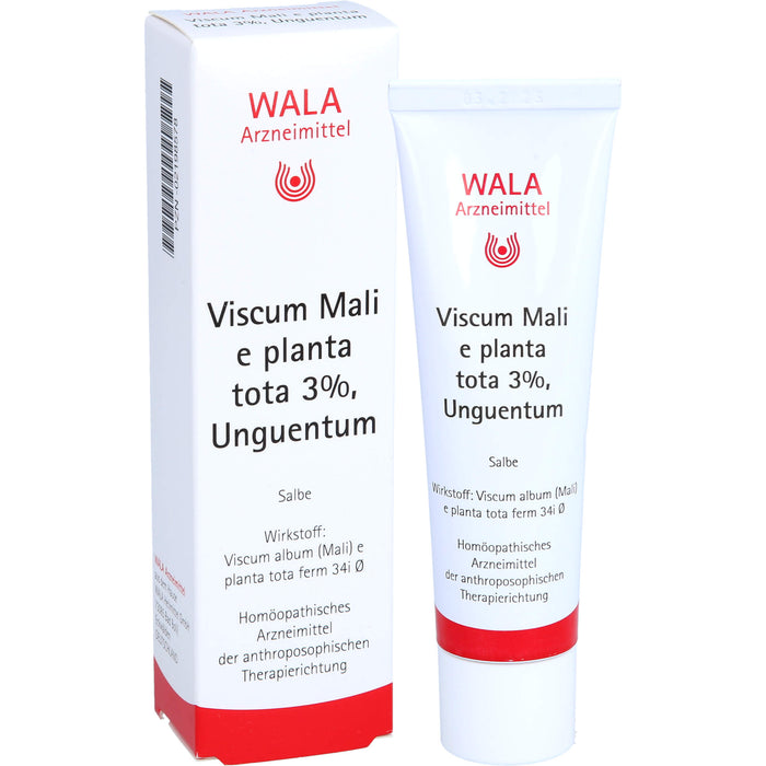 Viscum Mali e planta tota 3% Wala Salbe, 30 g Salbe
