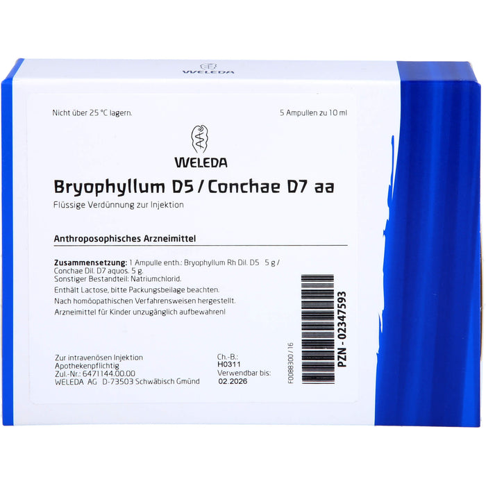 WELEDA Bryophyllum D5 / Conchae D7 aa flüssige Verdünnung, 5 St. Ampullen
