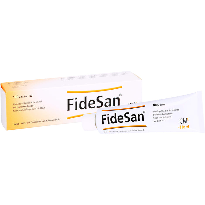 FideSan® Salbe, 100 g SAL