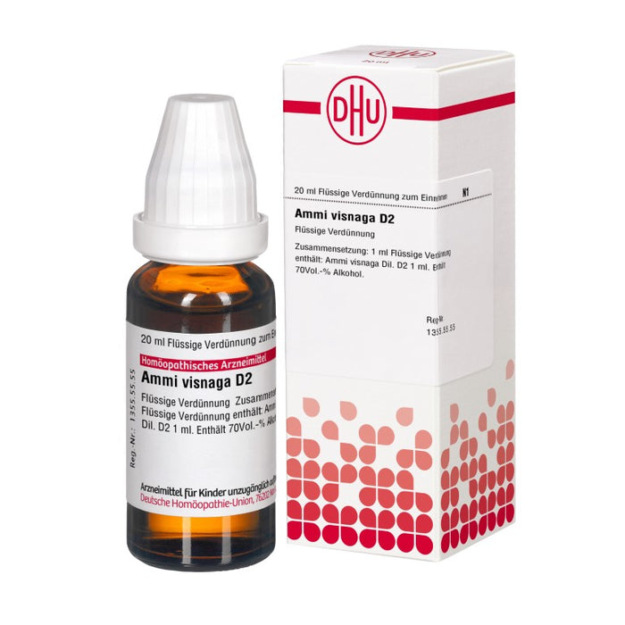 Ammi visnaga D2 DHU Dilution, 20 ml Lösung