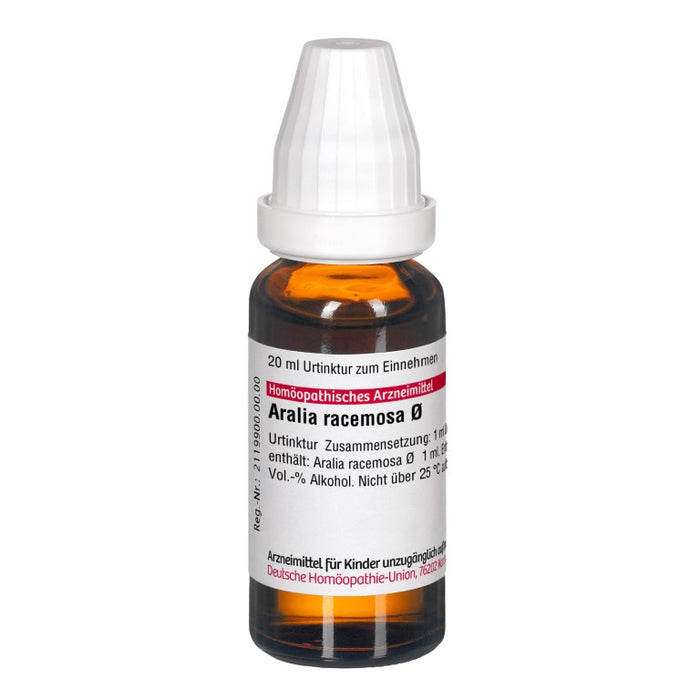 Aralia racemosa Urtinktur DHU, 20 ml Lösung