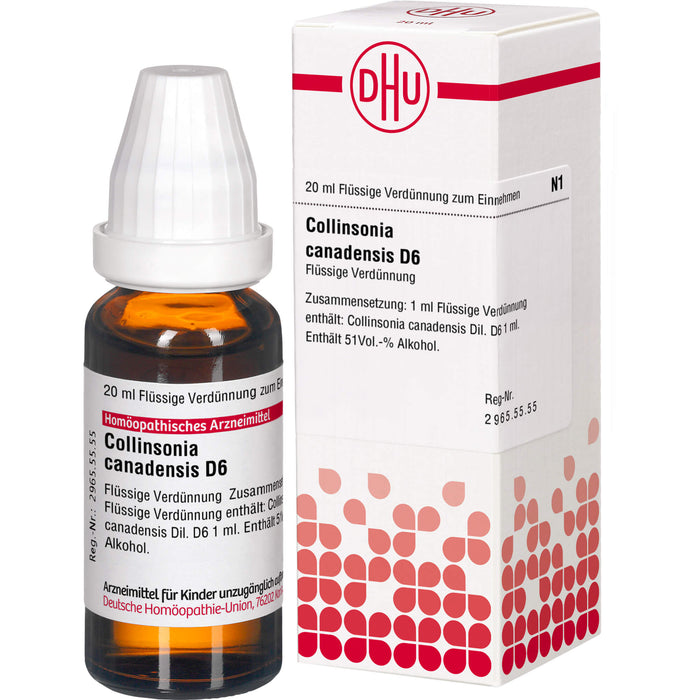 Collinsonia canadensis D6 DHU Dilution, 20 ml Lösung