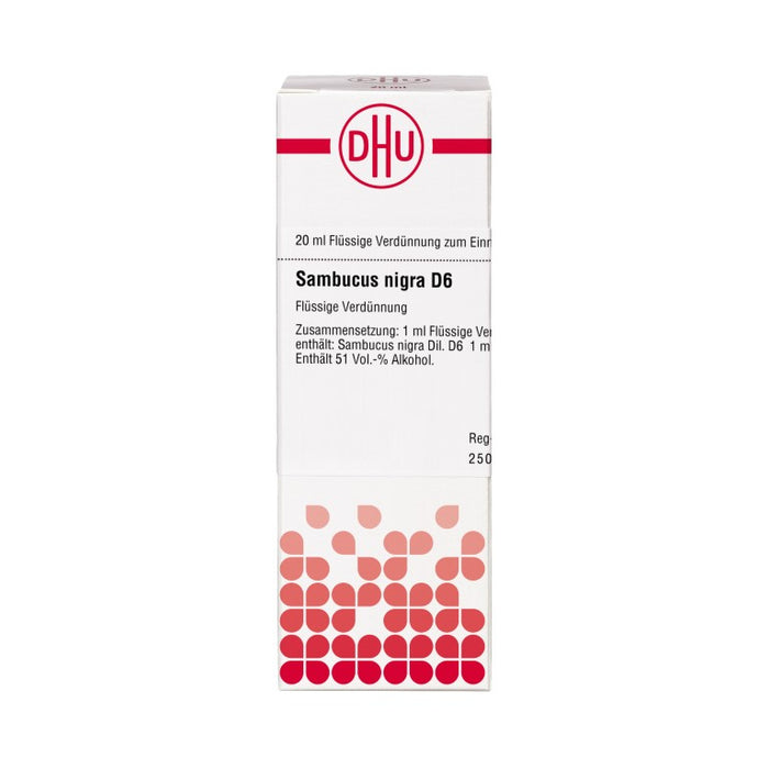 Sambucus nigra D6 DHU Dilution, 20 ml Lösung