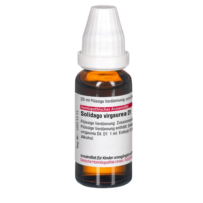 Solidago virgaurea D1 DHU Dilution, 20 ml Lösung