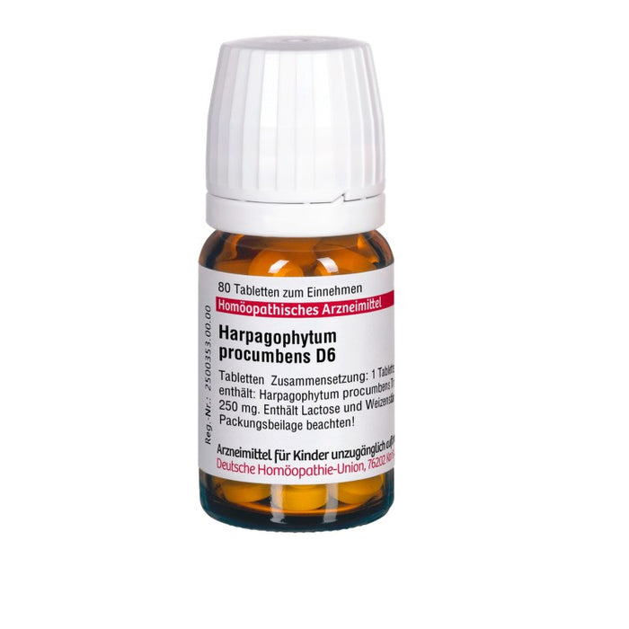 Harpagophytum procumbens D6 DHU Tabletten, 80 St. Tabletten