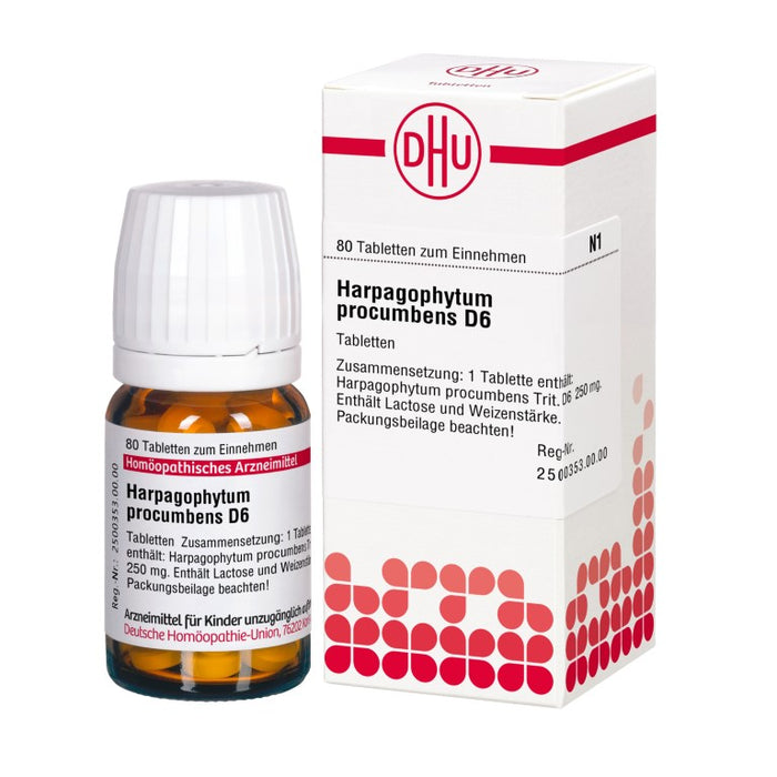 Harpagophytum procumbens D6 DHU Tabletten, 80 St. Tabletten
