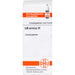 DHU Arnica LM VI Streukügelchen, 5 g Globuli