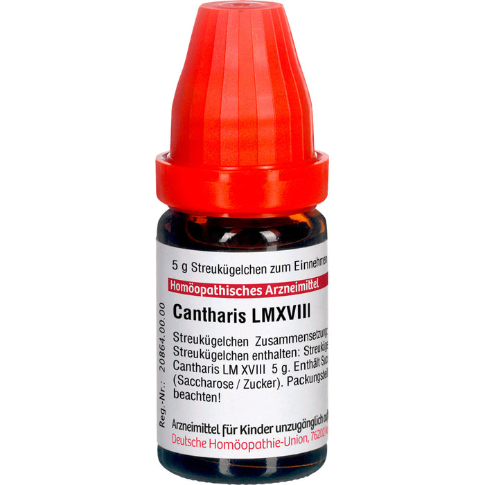 DHU Cantharis LM XVIII Streukügelchen, 5 g Globuli