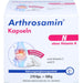 Arthrosamin N, 270 St KAP
