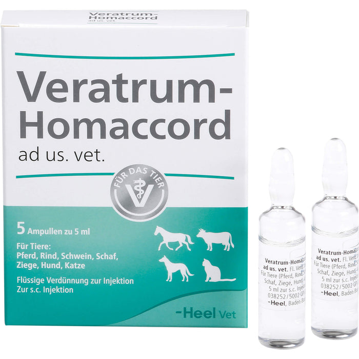 Veratrum-Homaccord ad us. vet. flüssige Verdünnung, 5 St. Ampullen