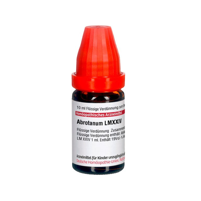 Abrotanum LM XXIV DHU Dilution, 10 ml Lösung