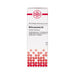 DHU Bellis perennis D4 Dilution, 20 ml Lösung