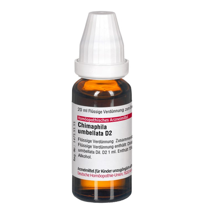 DHU Chimaphila umbellata D2 Dilution, 20 ml Lösung