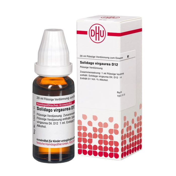 Solidago virgaurea D12 DHU Dilution, 20 ml Lösung