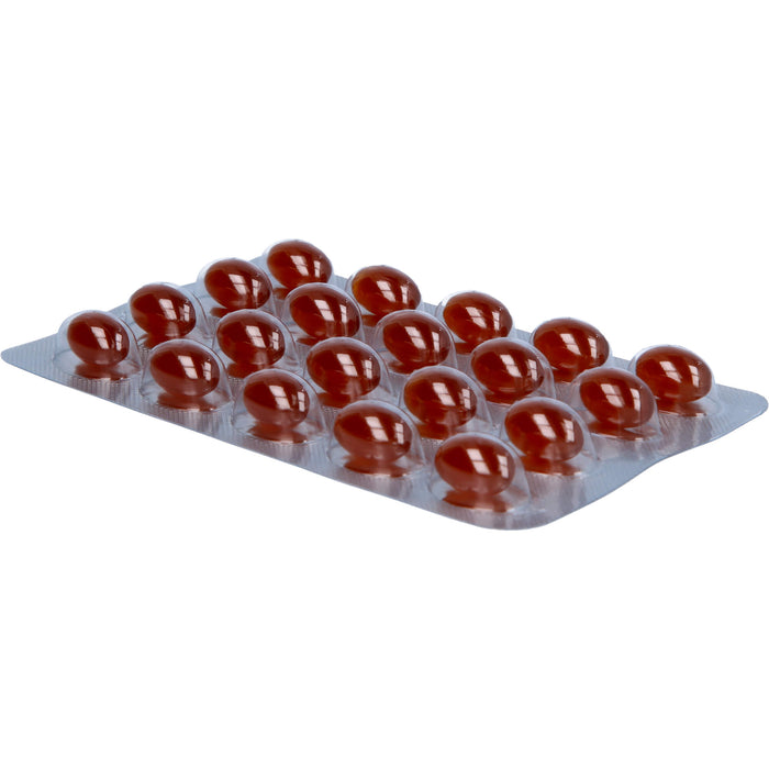 Twardy Lecithin-Kapseln, 60 St. Kapseln