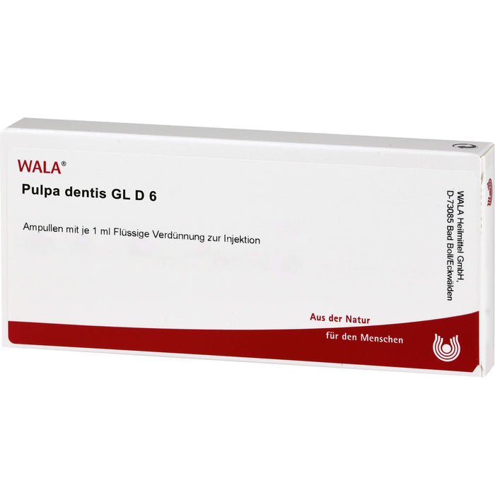 WALA Pulpa dentis Gl D6 flüssige Verdünnung, 10 St. Ampullen
