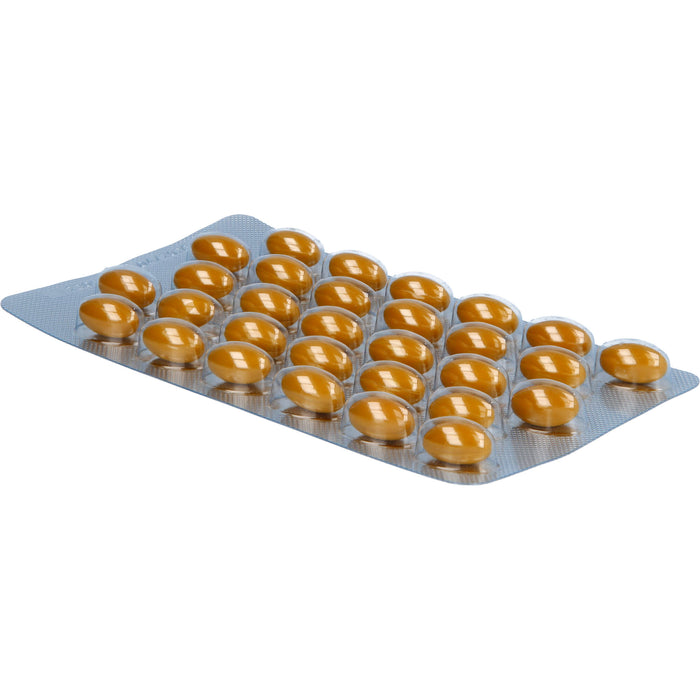 Twardy Vitamin B-Komplex Kapseln für Nerven und Energiestoffwechsel, 60 St. Kapseln