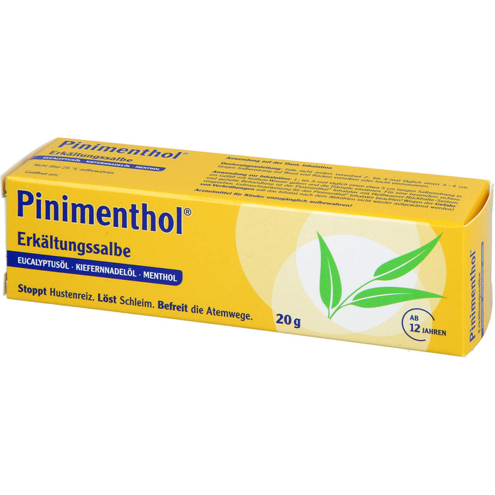 Pinimenthol Erkältungssalbe, 20 g Creme