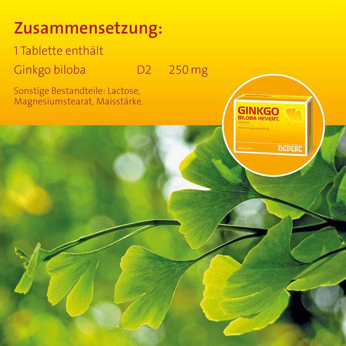 Ginkgo biloba Hevert, 300 St. Tabletten