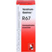 Dr. Reckeweg Veratrum-Gastreu R67 Tropfen, 50 ml Lösung