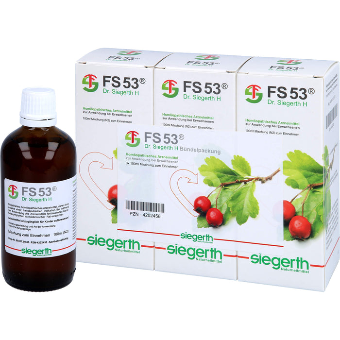 FS 53 Dr. Siegerth H flüssig, 3X100 ml FLU