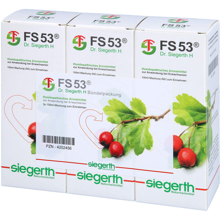 FS 53 Dr. Siegerth H flüssig, 3X100 ml FLU