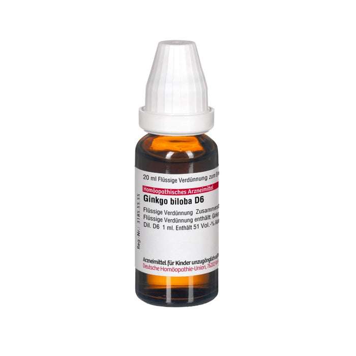 Ginkgo biloba D6 DHU Dilution, 20 ml Lösung